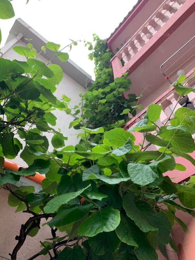 Rooms Kuljic Budva Ngoại thất bức ảnh